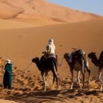 Top 10 Unforgettable Morocco Desert Activities for Your Tour