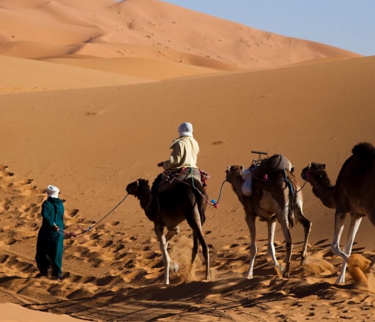 Top 10 Unforgettable Morocco Desert Activities for Your Tour
