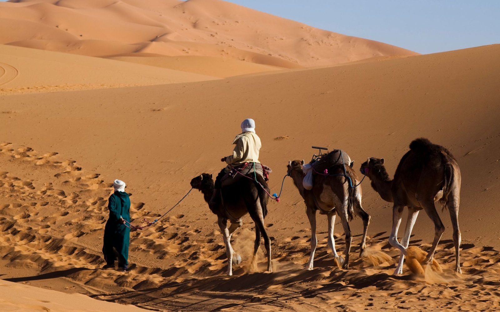 Top 10 Unforgettable Morocco Desert Activities for Your Tour